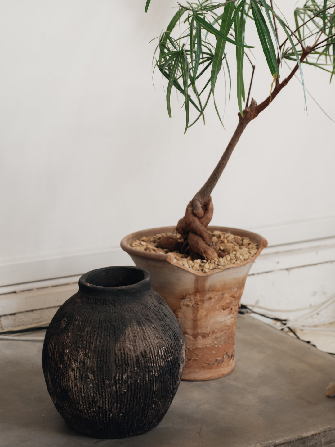 Gafsa Black Ridged Pot