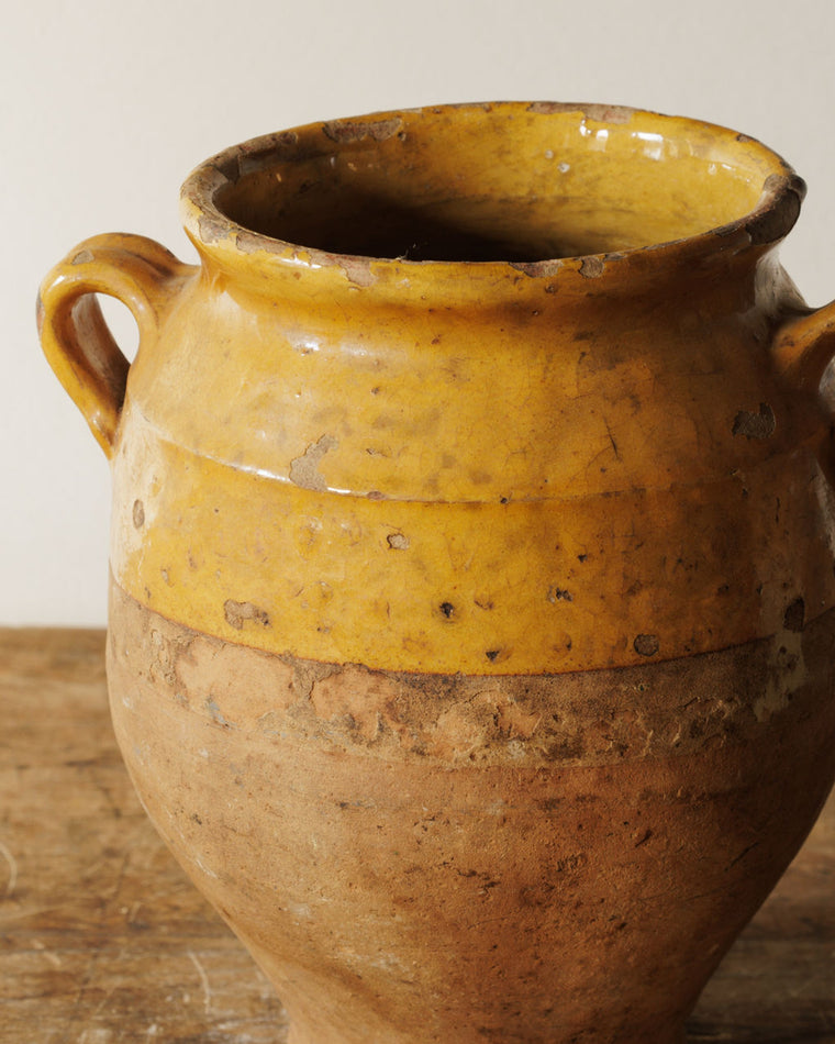 Petit Yellow Confit Pots