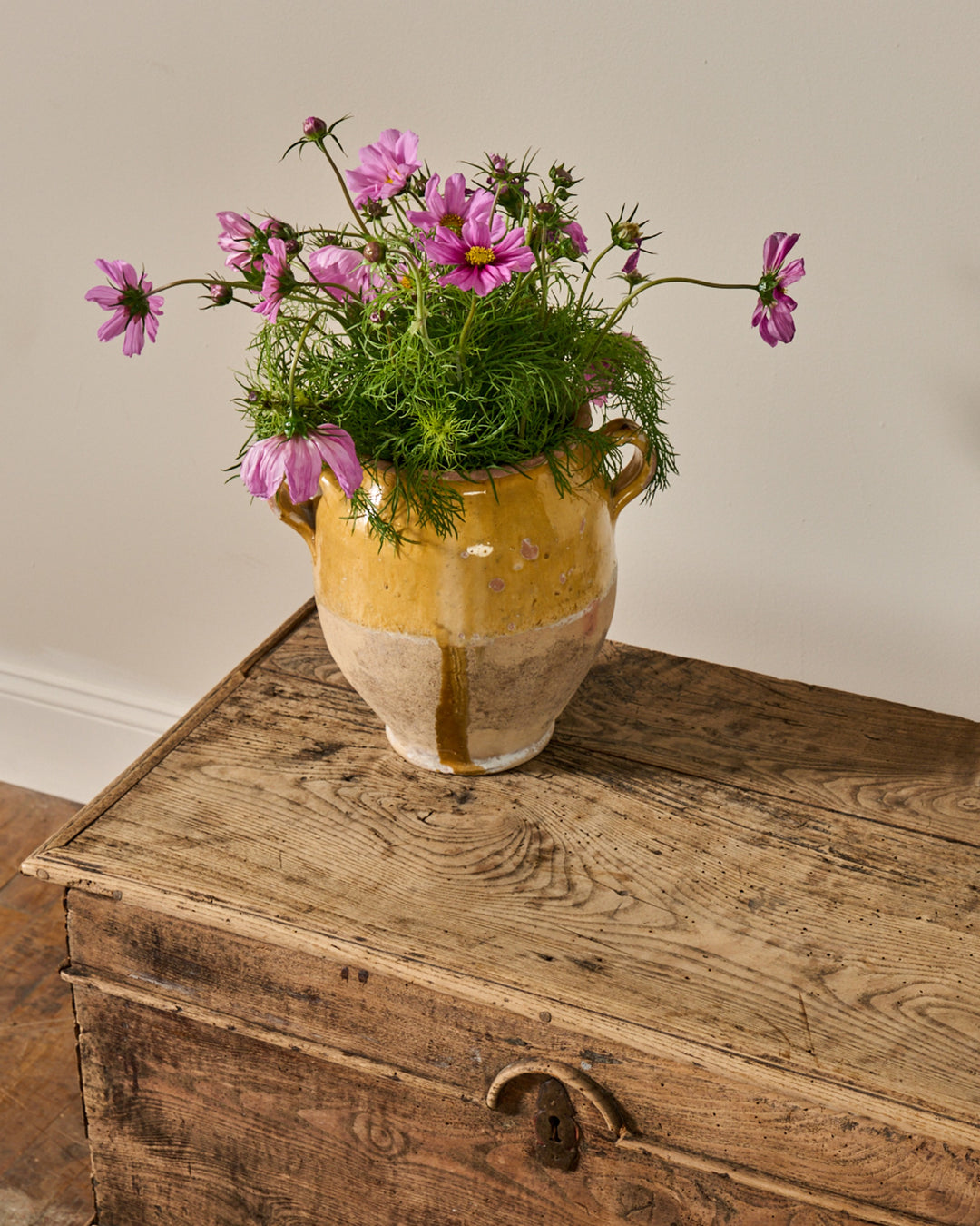 19th c. Oak Trunk