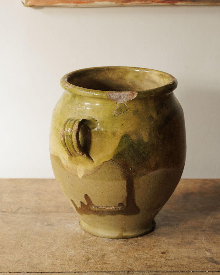 Rare Olive Confit Pot