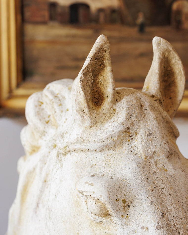 Le Cheval Bust