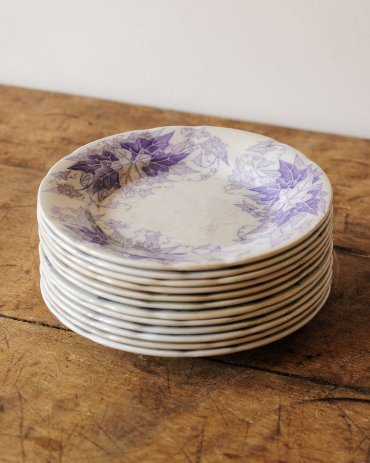 Bryonia Dinner Plate
