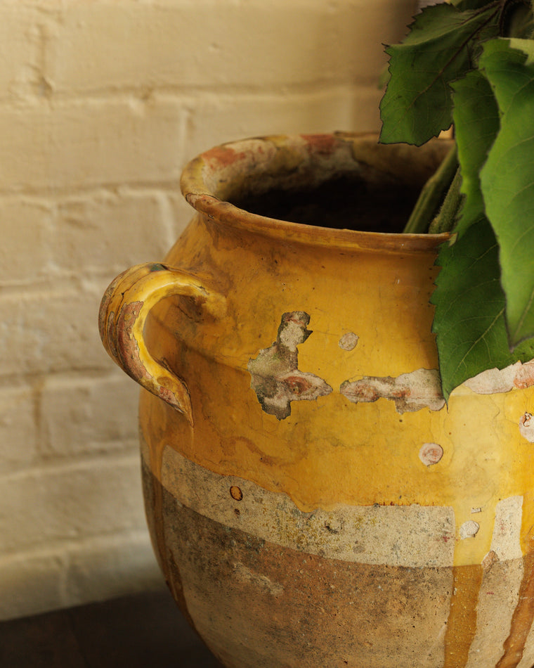 Yellow Confit Pot - Extra Large