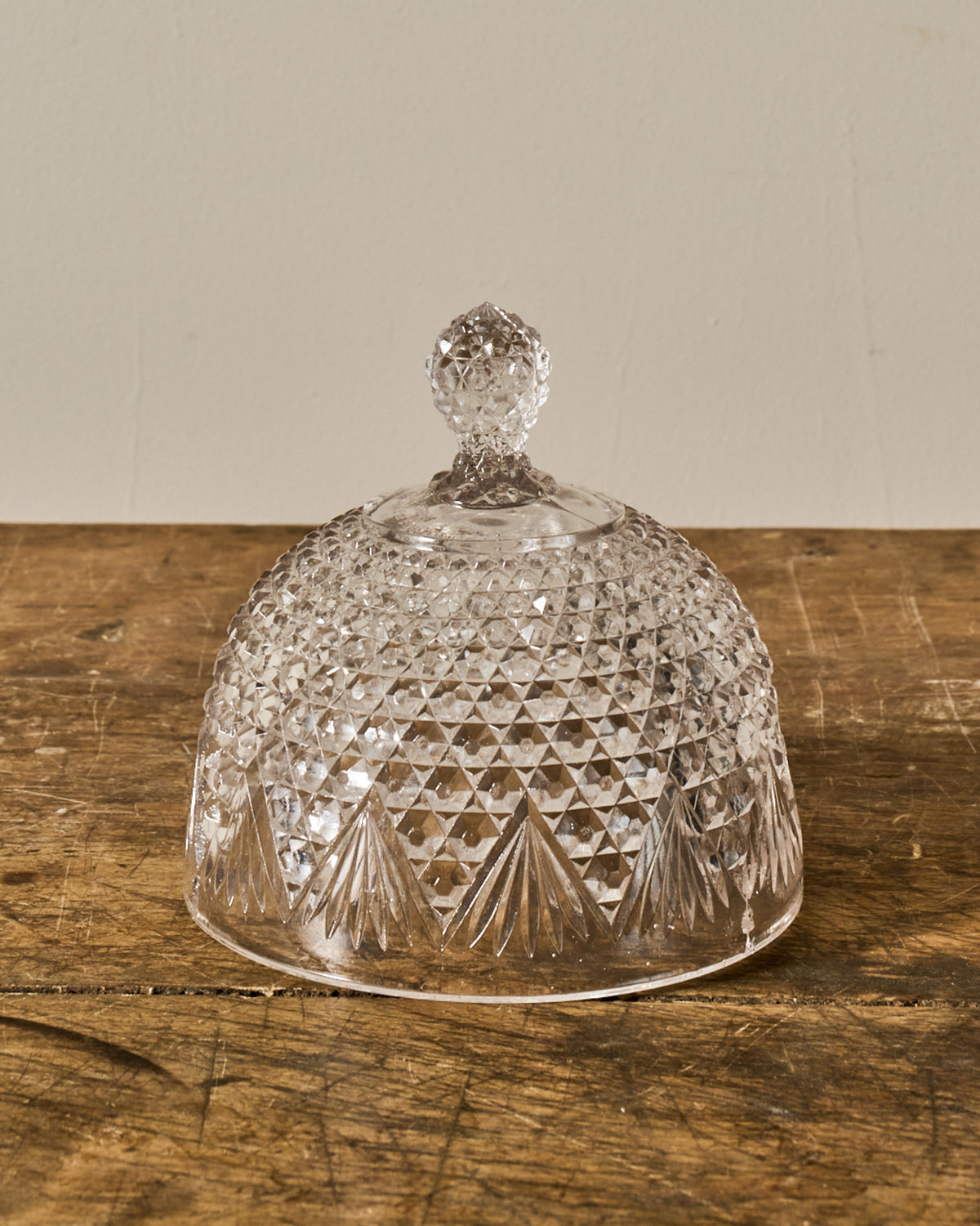 Vintage Glass Cloche