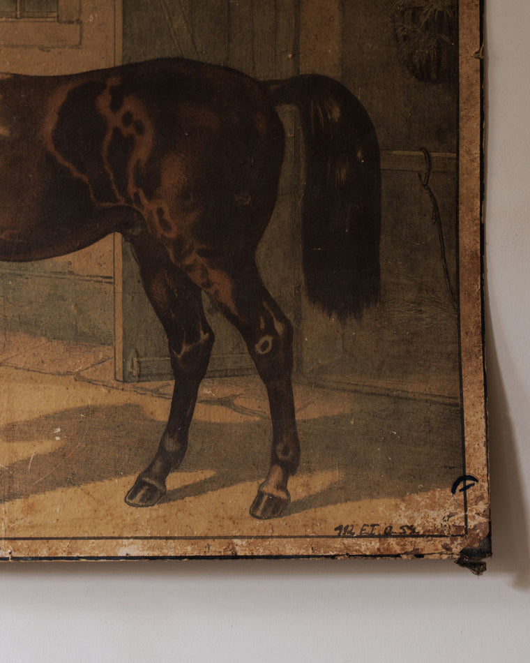Le Cheval Artwork