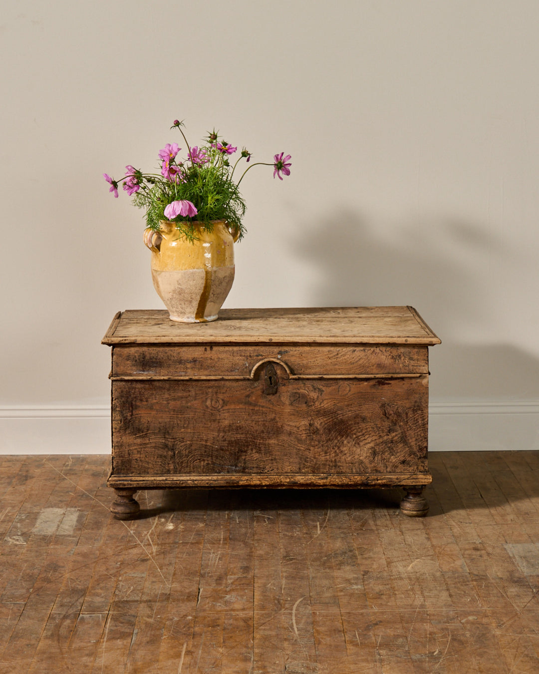 19th c. Oak Trunk