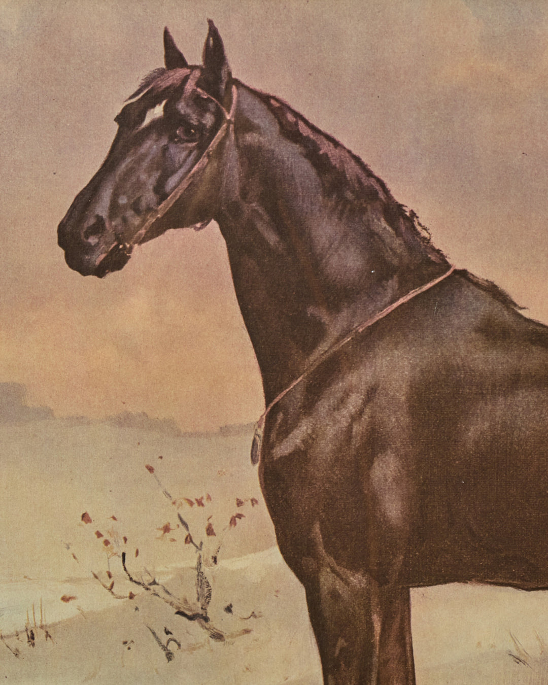 Le Cheval Artwork