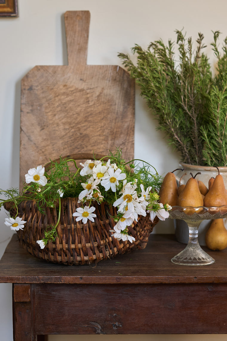 French Grape Basket