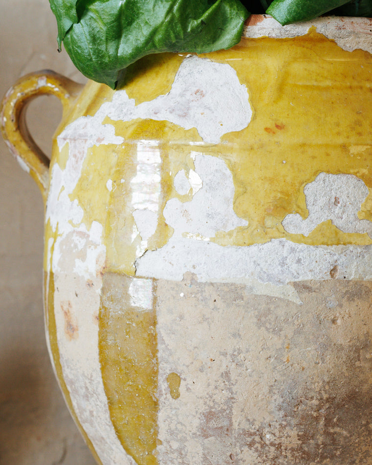 Large Yellow Confit Pot