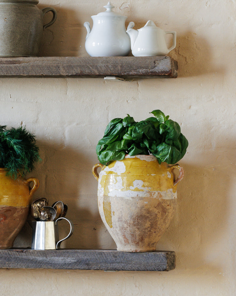 Large Yellow Confit Pot