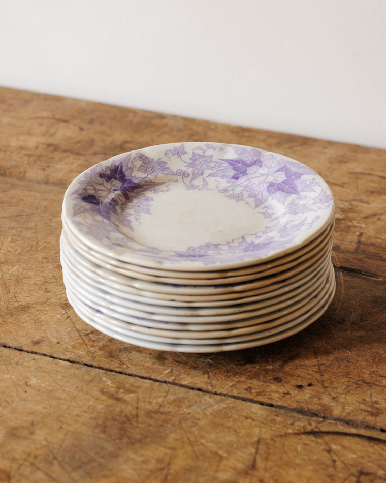 Bryonia Salad Plate