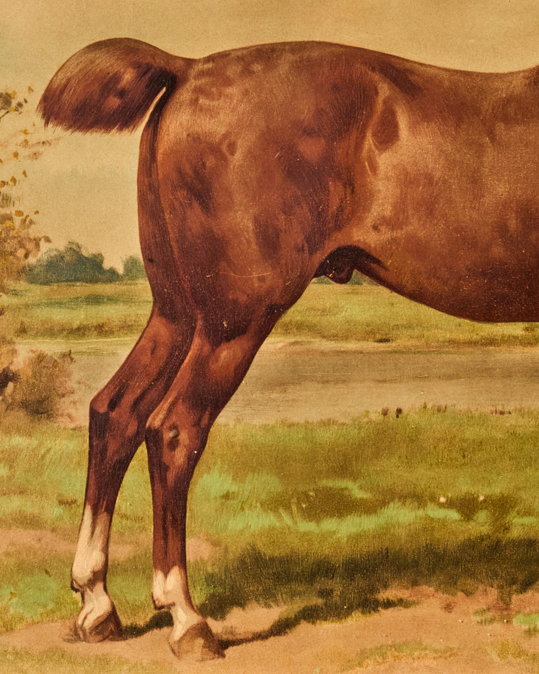 Le Cheval Artwork