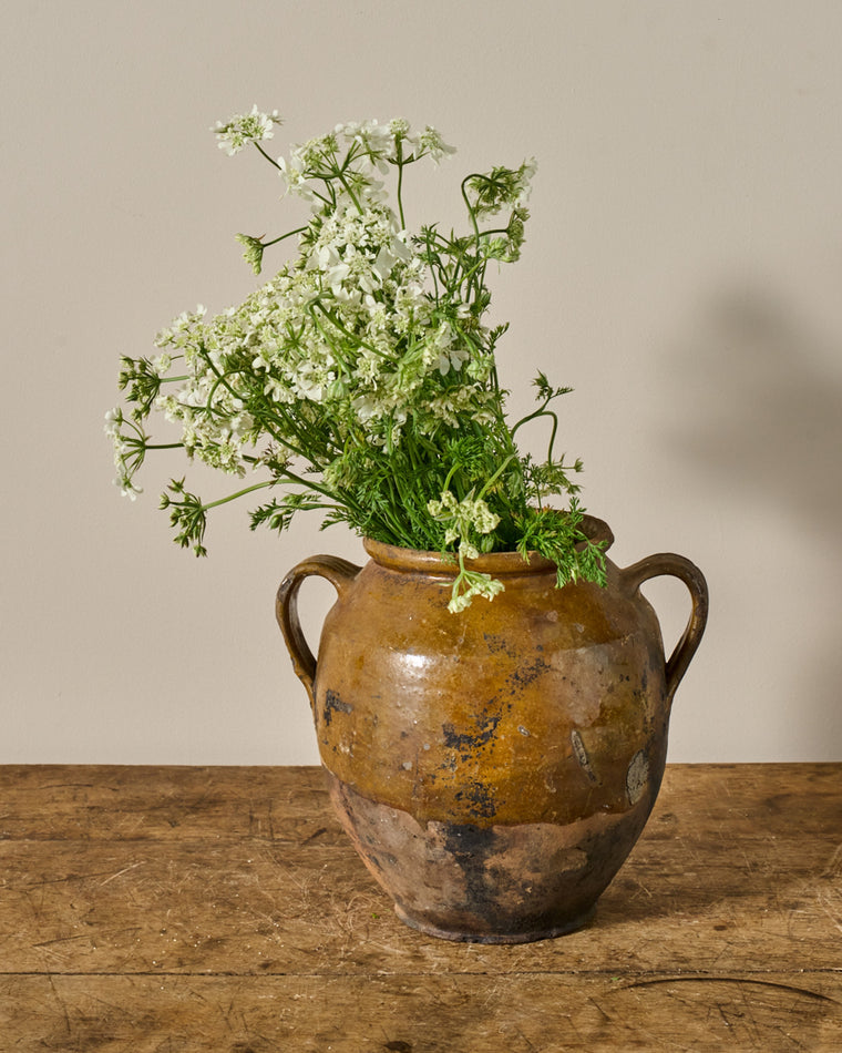 Yellow Confit Pot - II