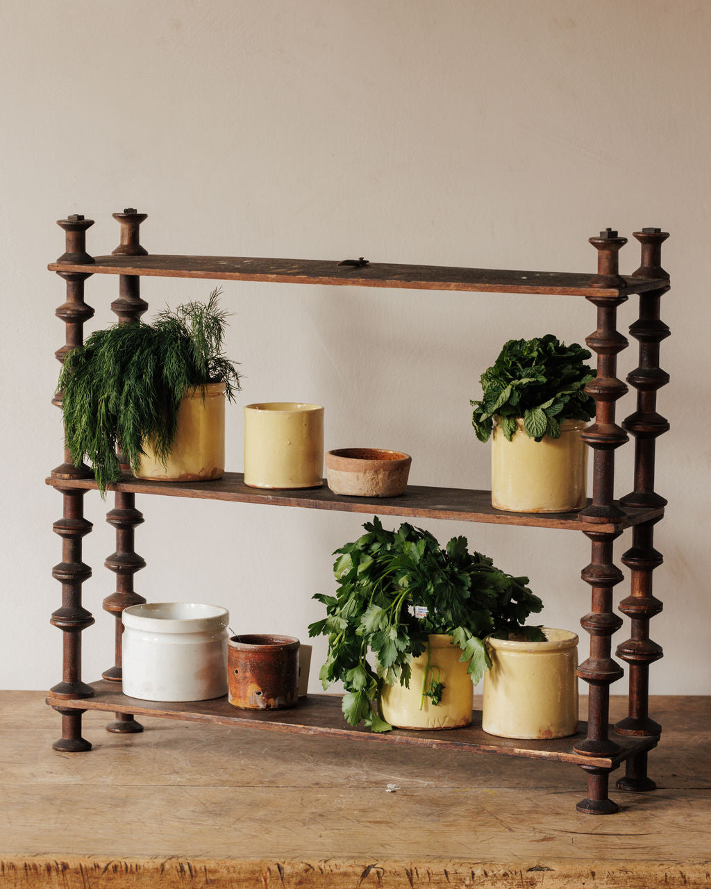 Kitchen Spice Shelf - Small