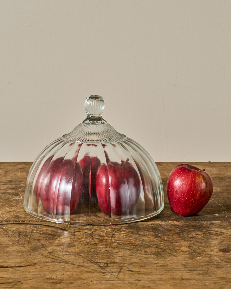 Vintage Glass Cloche