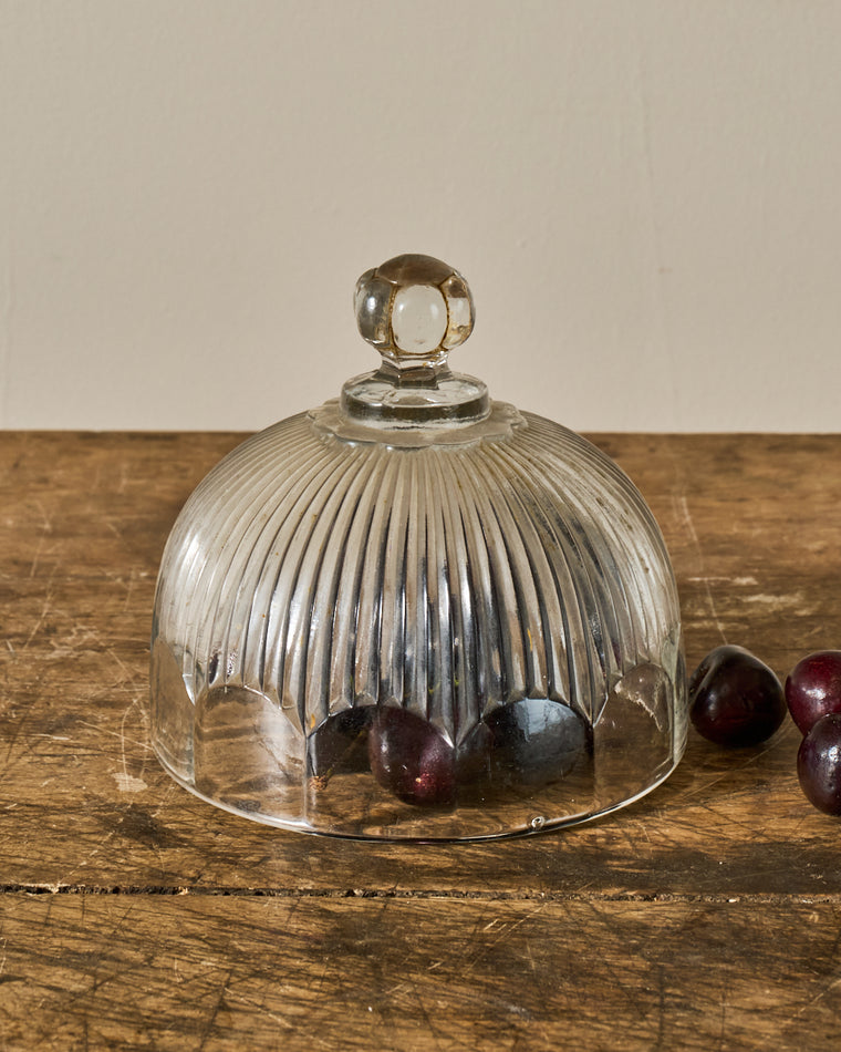 Vintage Glass Cloche
