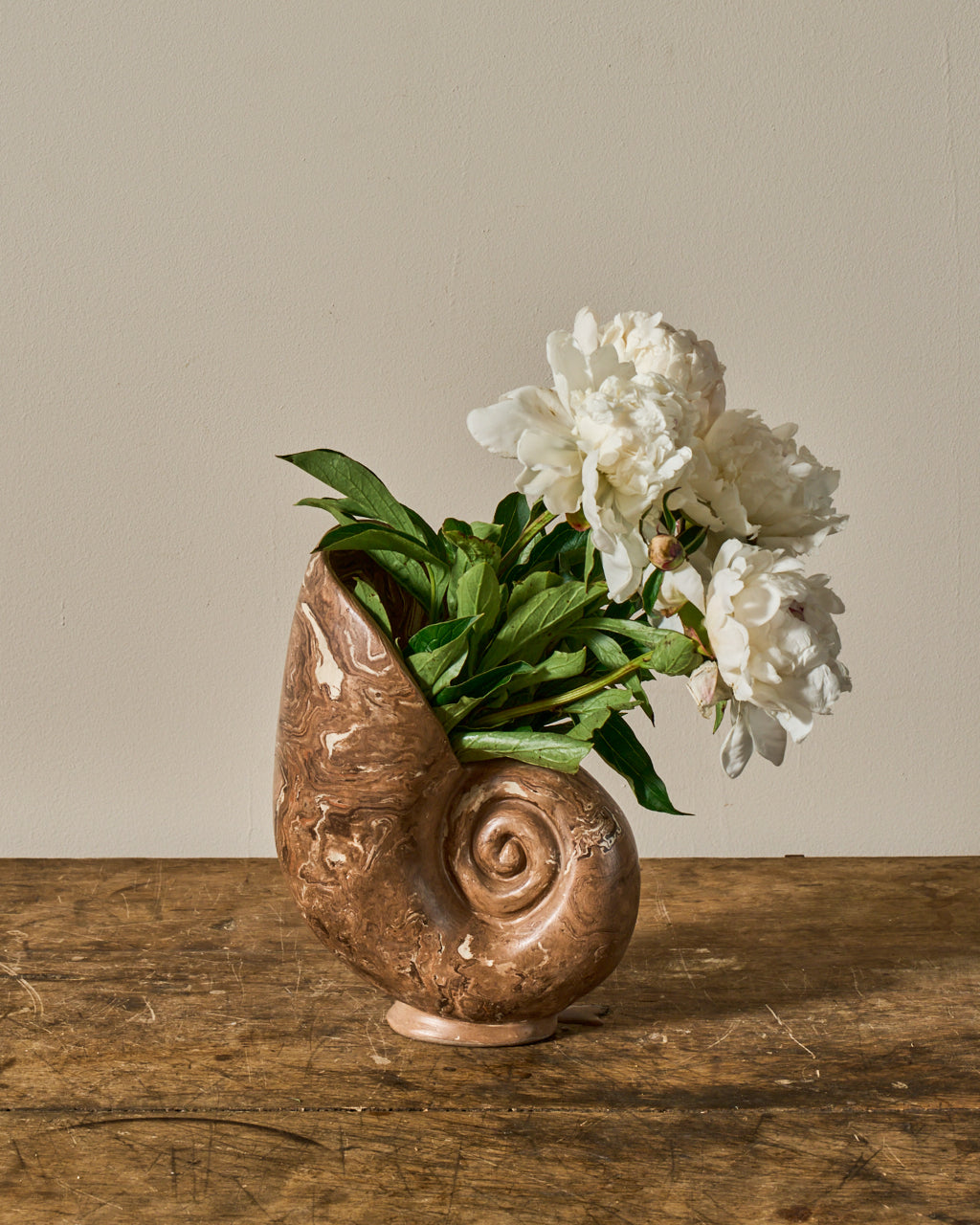 Nautilus Vase