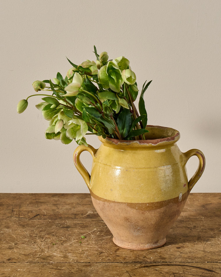 Yellow Confit Pot - I