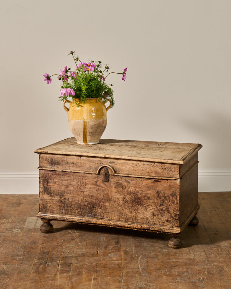 19th c. Oak Trunk