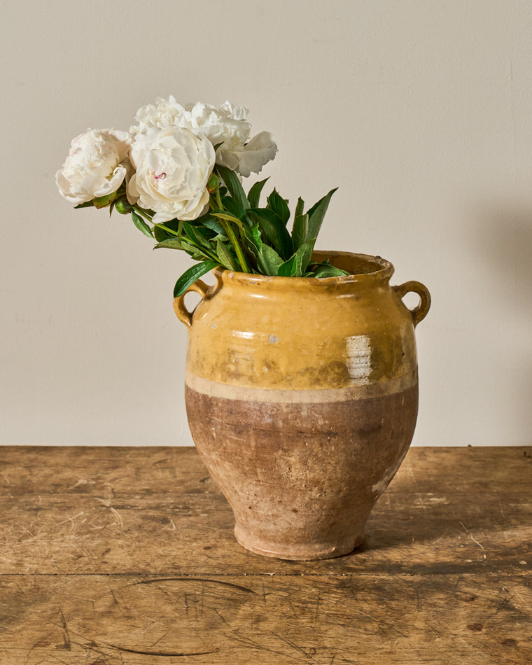 Yellow Confit Pot - IV