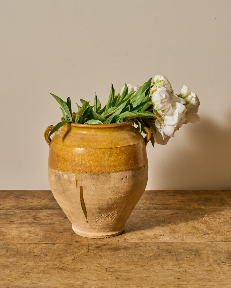 Yellow Confit Pot - I