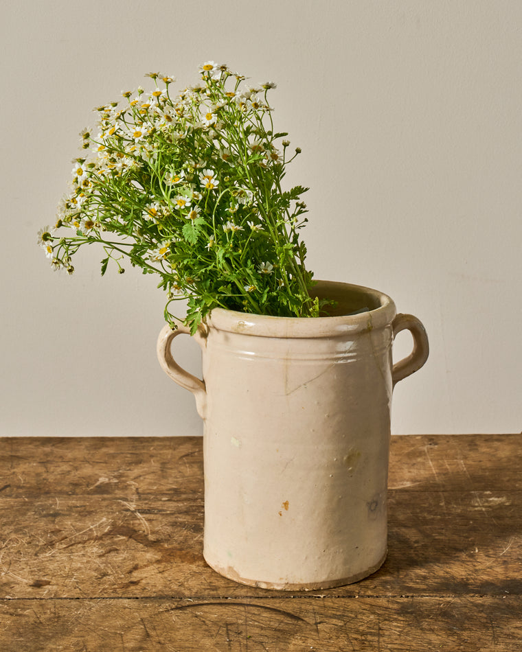 Sardine Preserving Pot