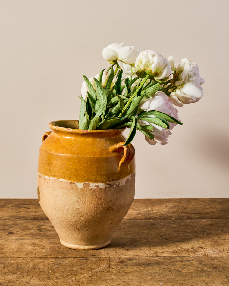Yellow Confit Pot - III