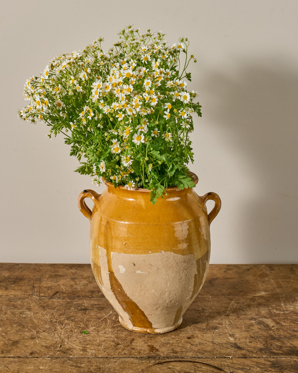 Yellow Confit Pot - III