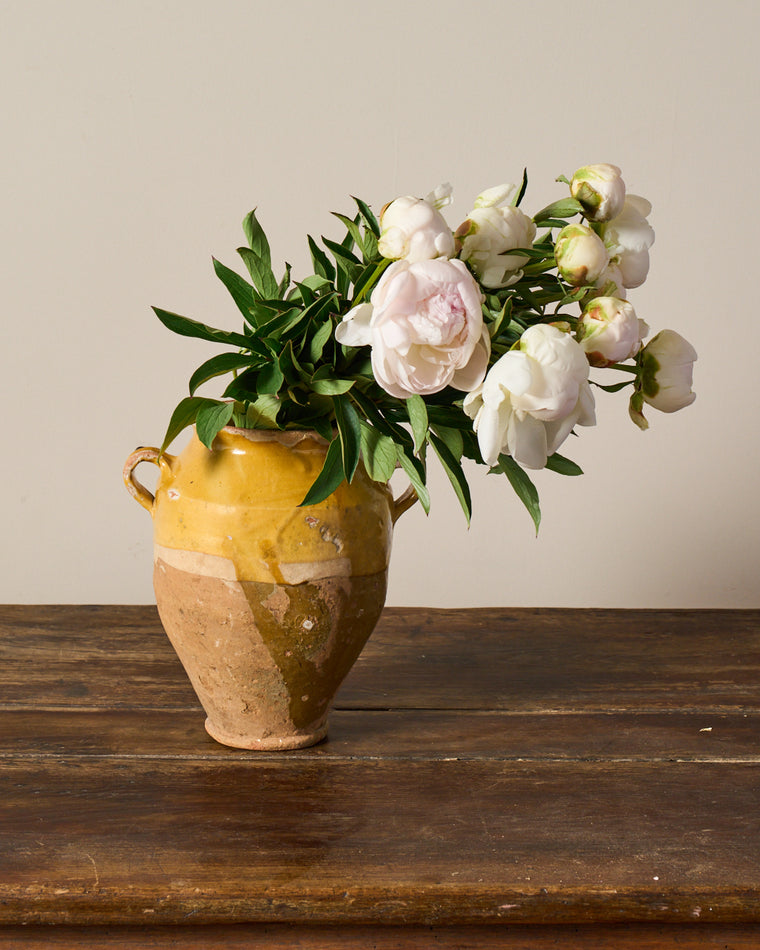 Yellow Confit Pot