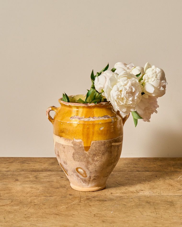Yellow Confit Pot - II