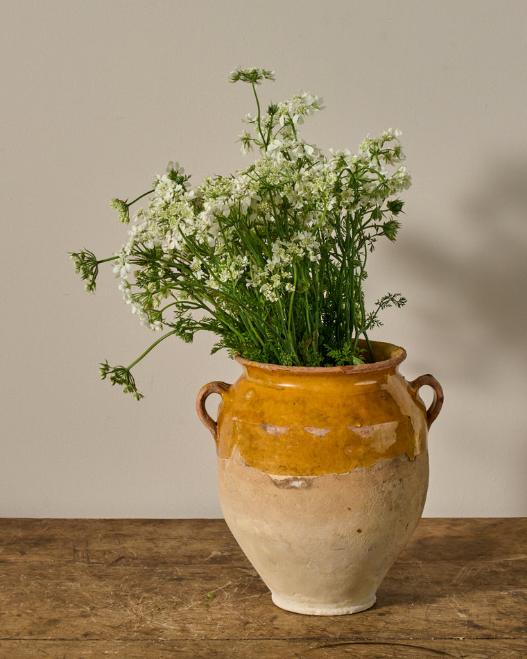 Yellow Confit Pot - III