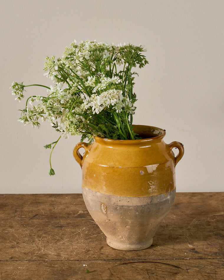 Yellow Confit Pot - III