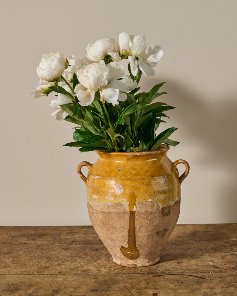Yellow Confit Pot