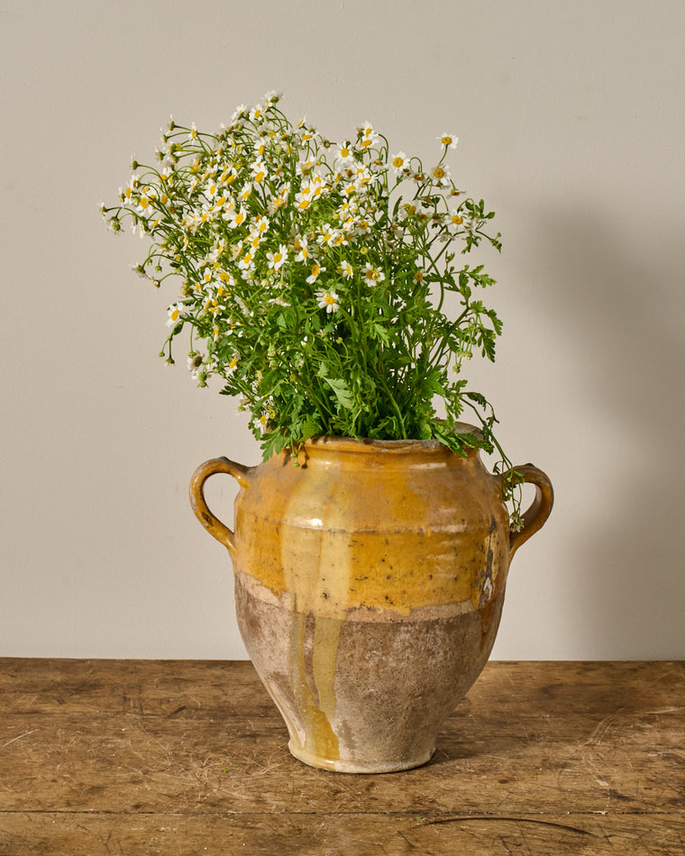 Yellow Confit Pot