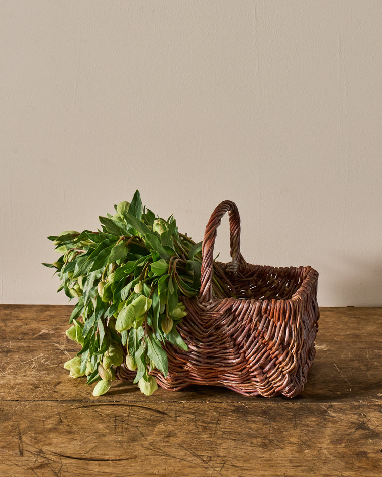 French Gathering Basket