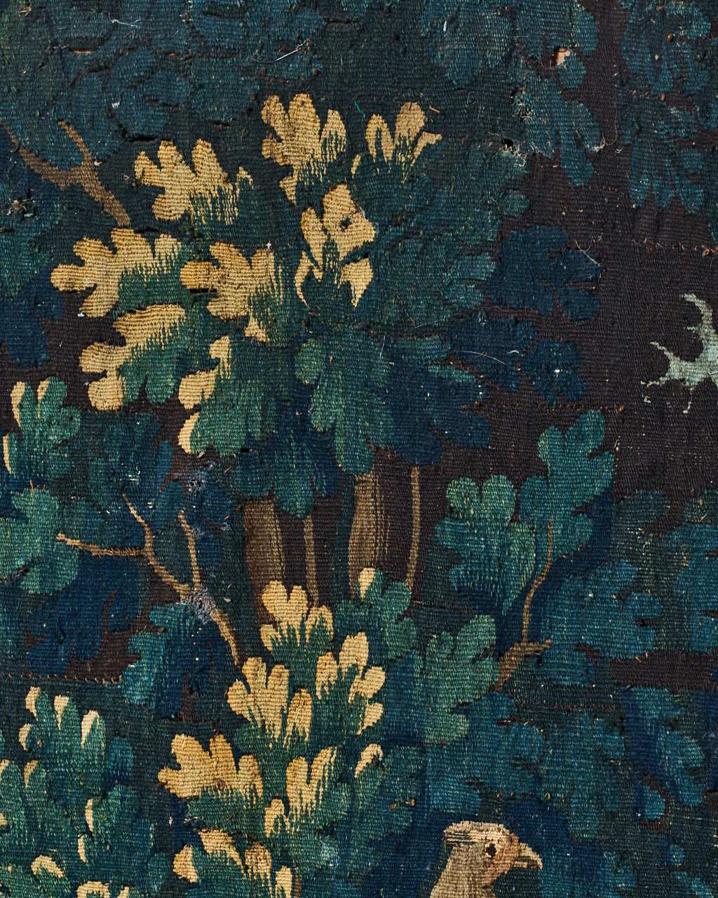 Framed Aubusson Tapestry