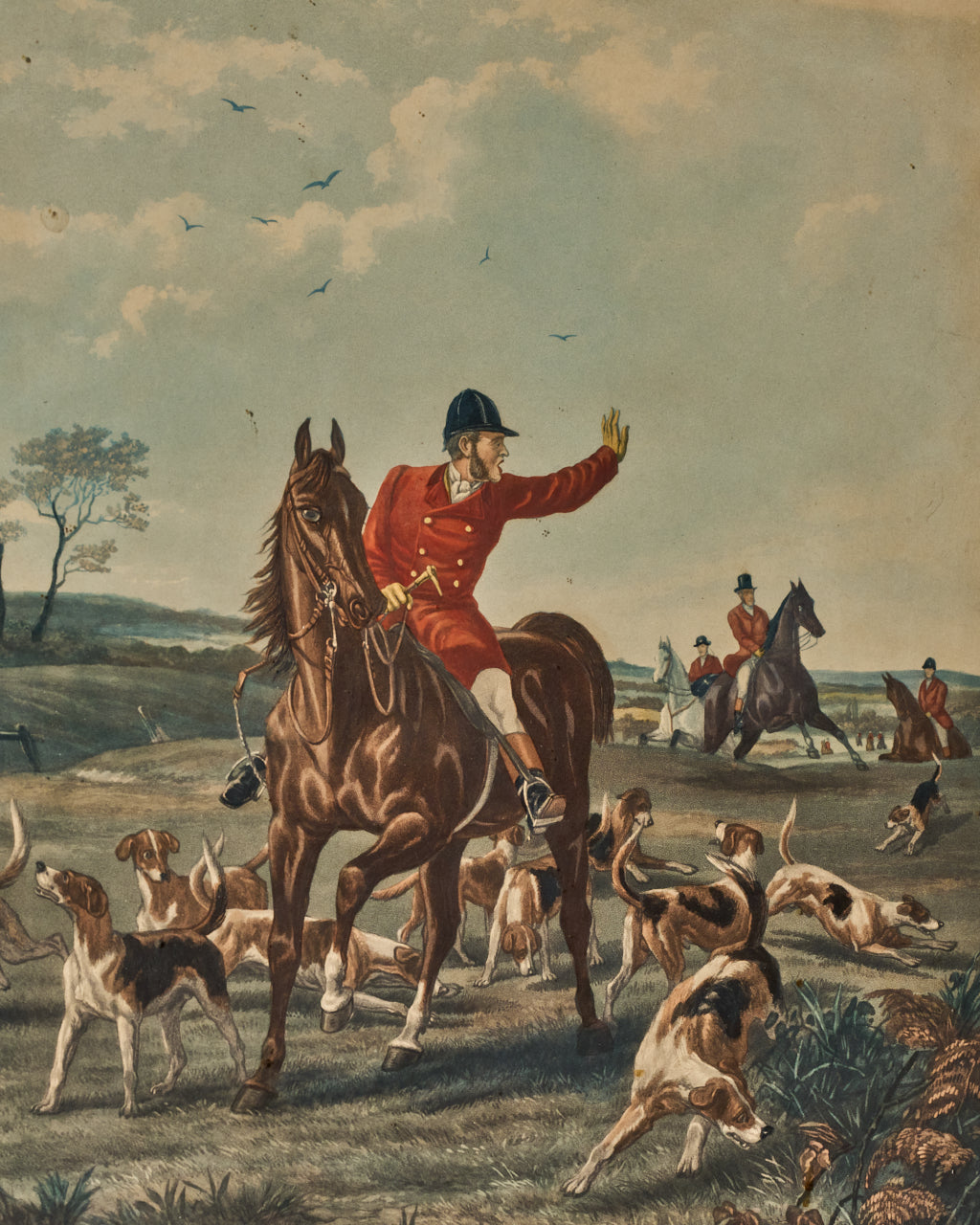 Horse Artwork
