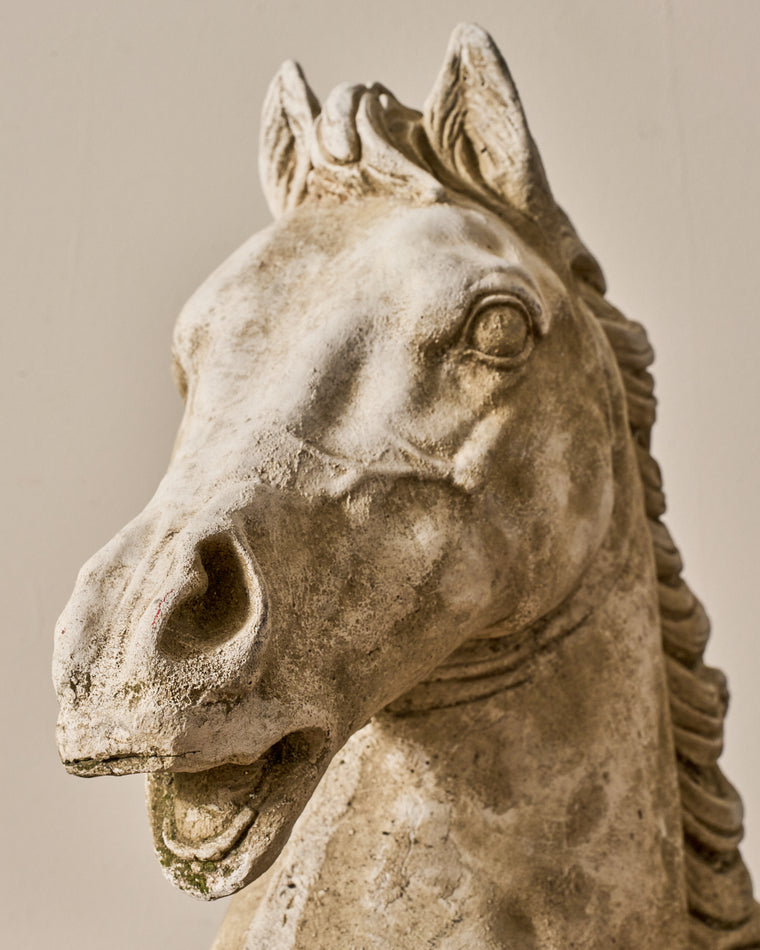 19th c. Horse Bust