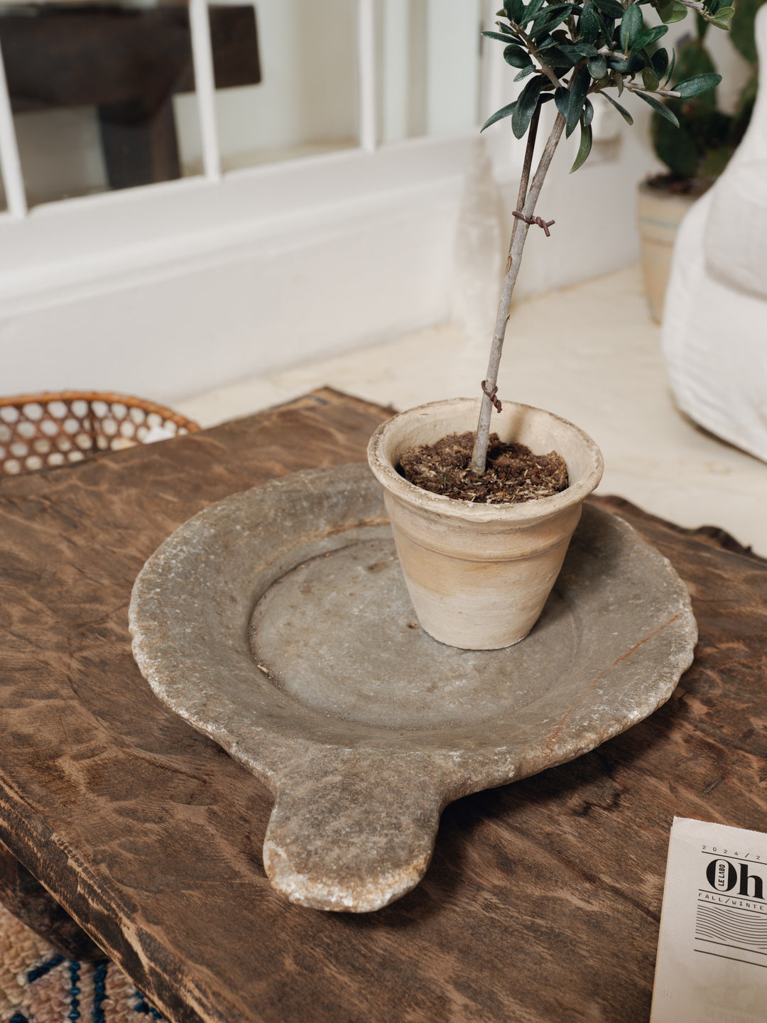 a potted plant is sitting on a stone tray on a wooden table .
