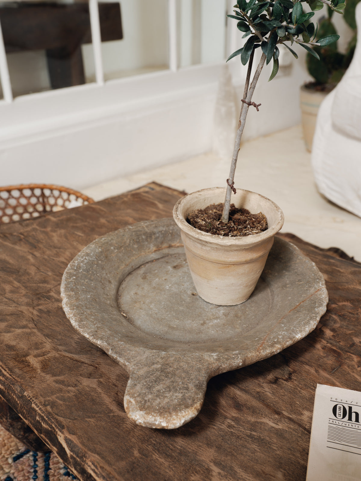 a potted plant is sitting on a stone tray on a wooden table .