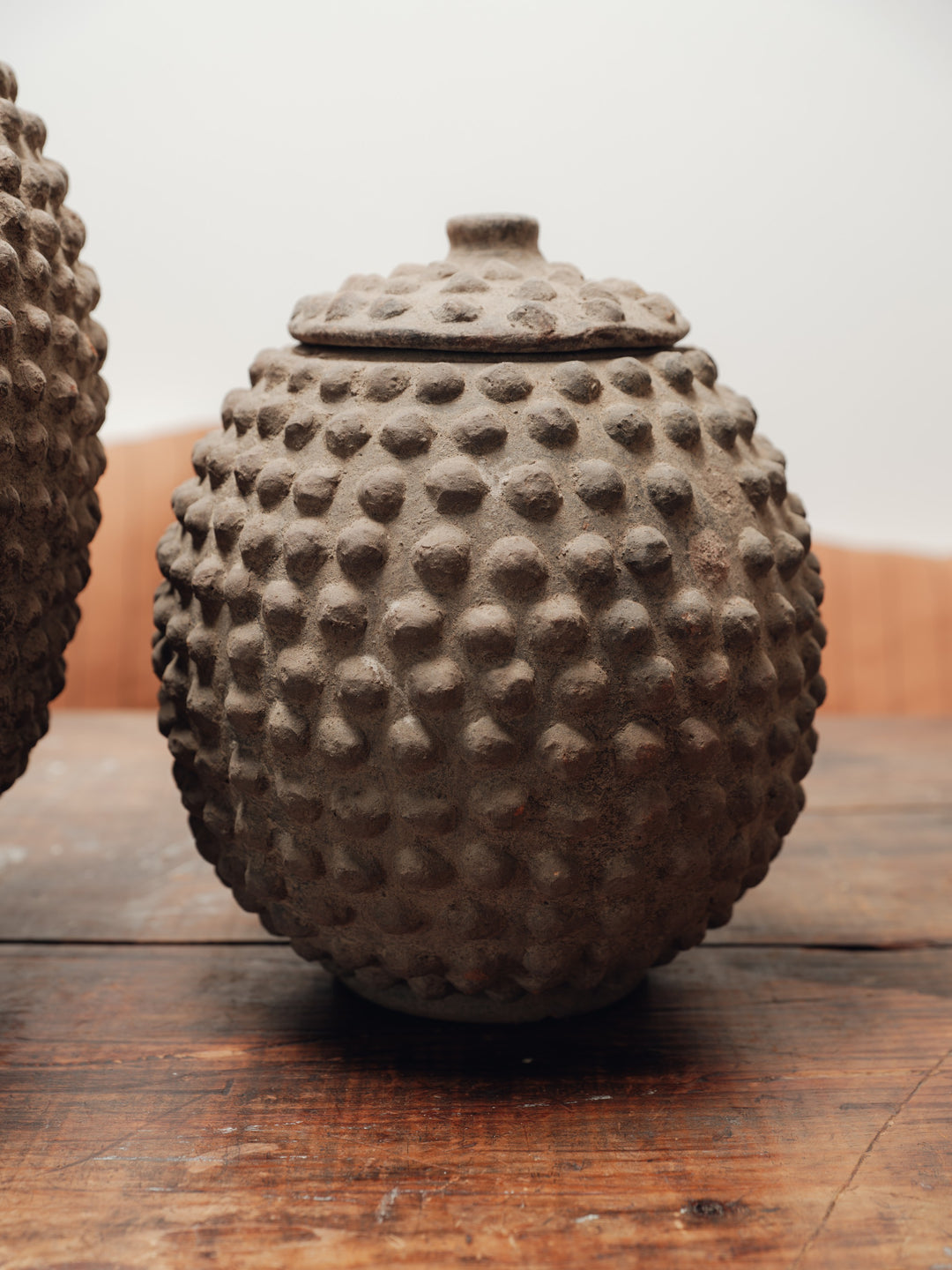 Lobi Pot