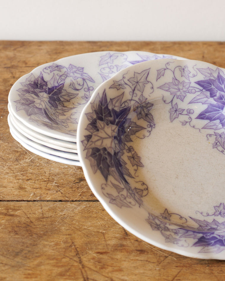 Bryonia Soup Bowl