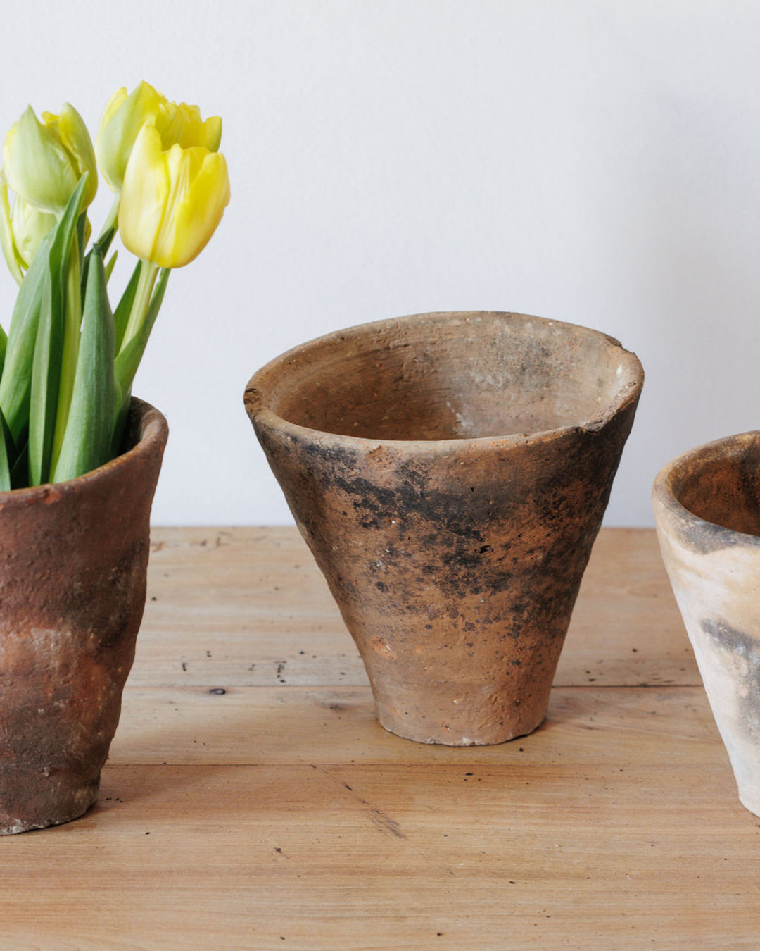 Terracotta Resin Pot