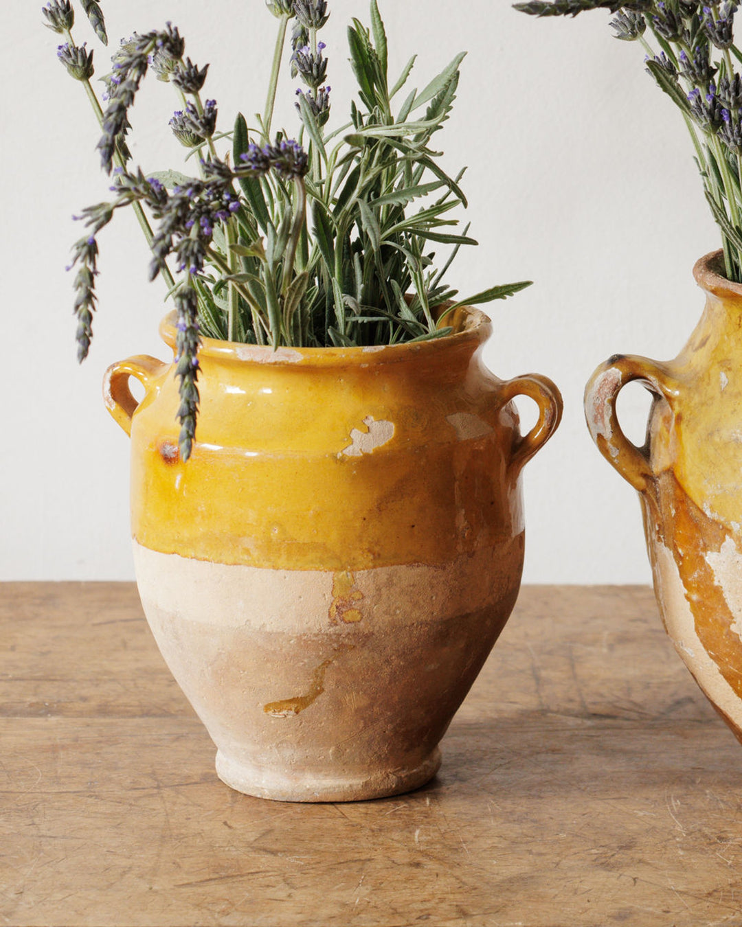 Petit Confit Pots