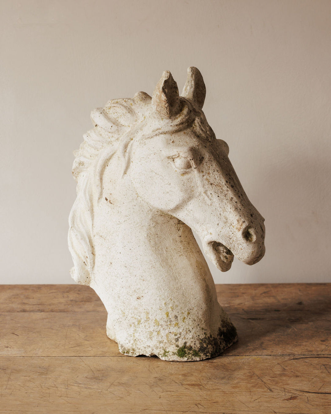 Le Cheval Bust