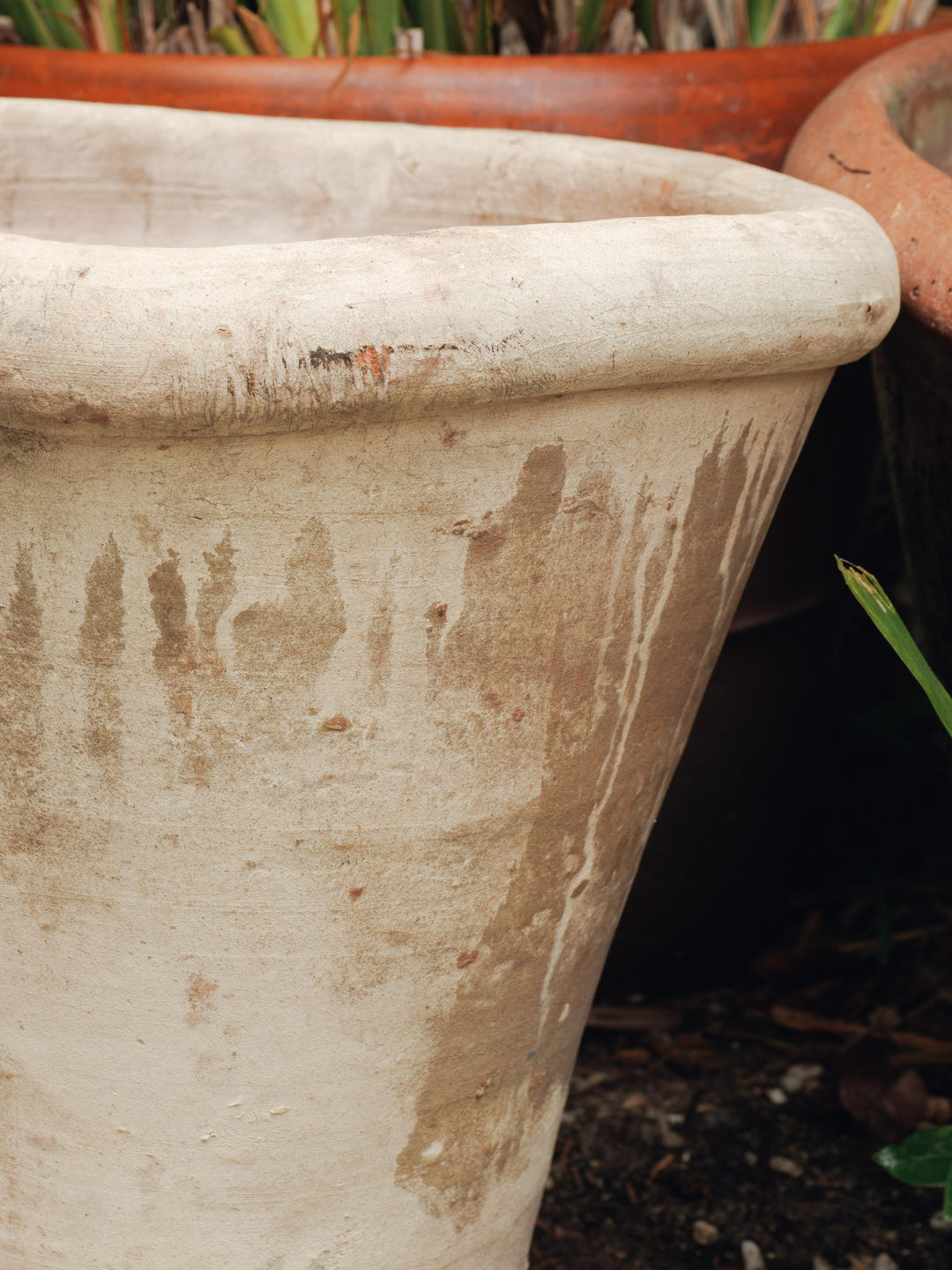 The Flower Pot