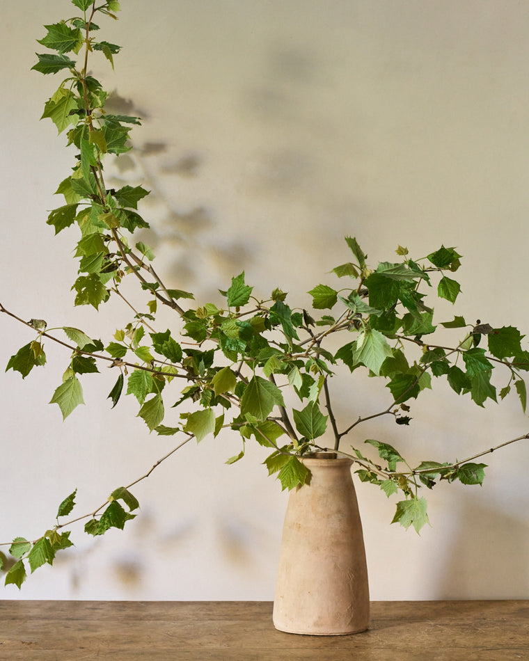 Toulouse Branch Vase