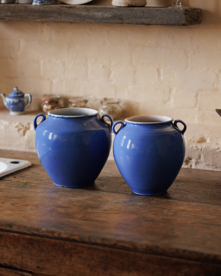 Blue Martres Tolosane Pot