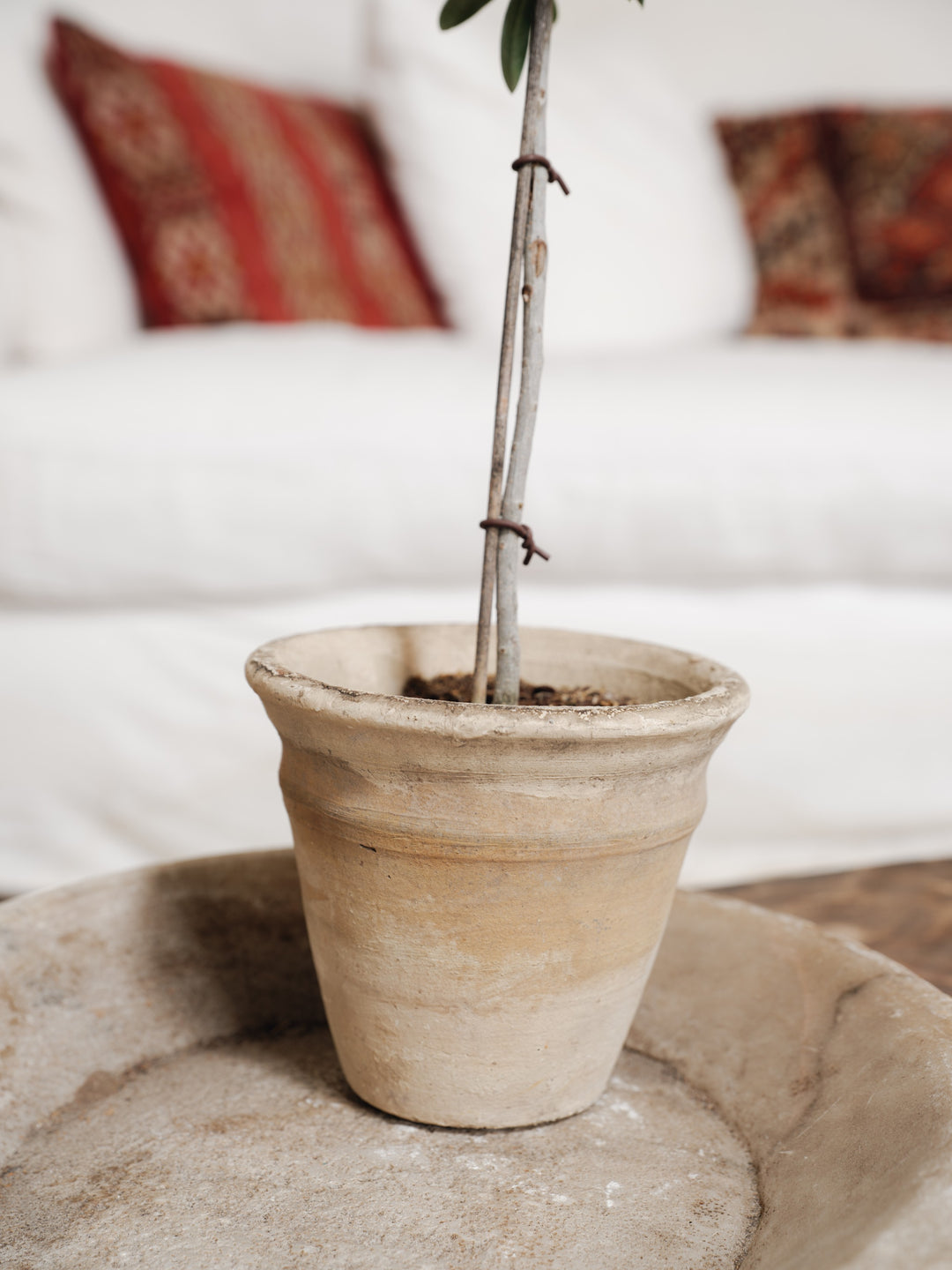 Egyptian Swirl Planter
