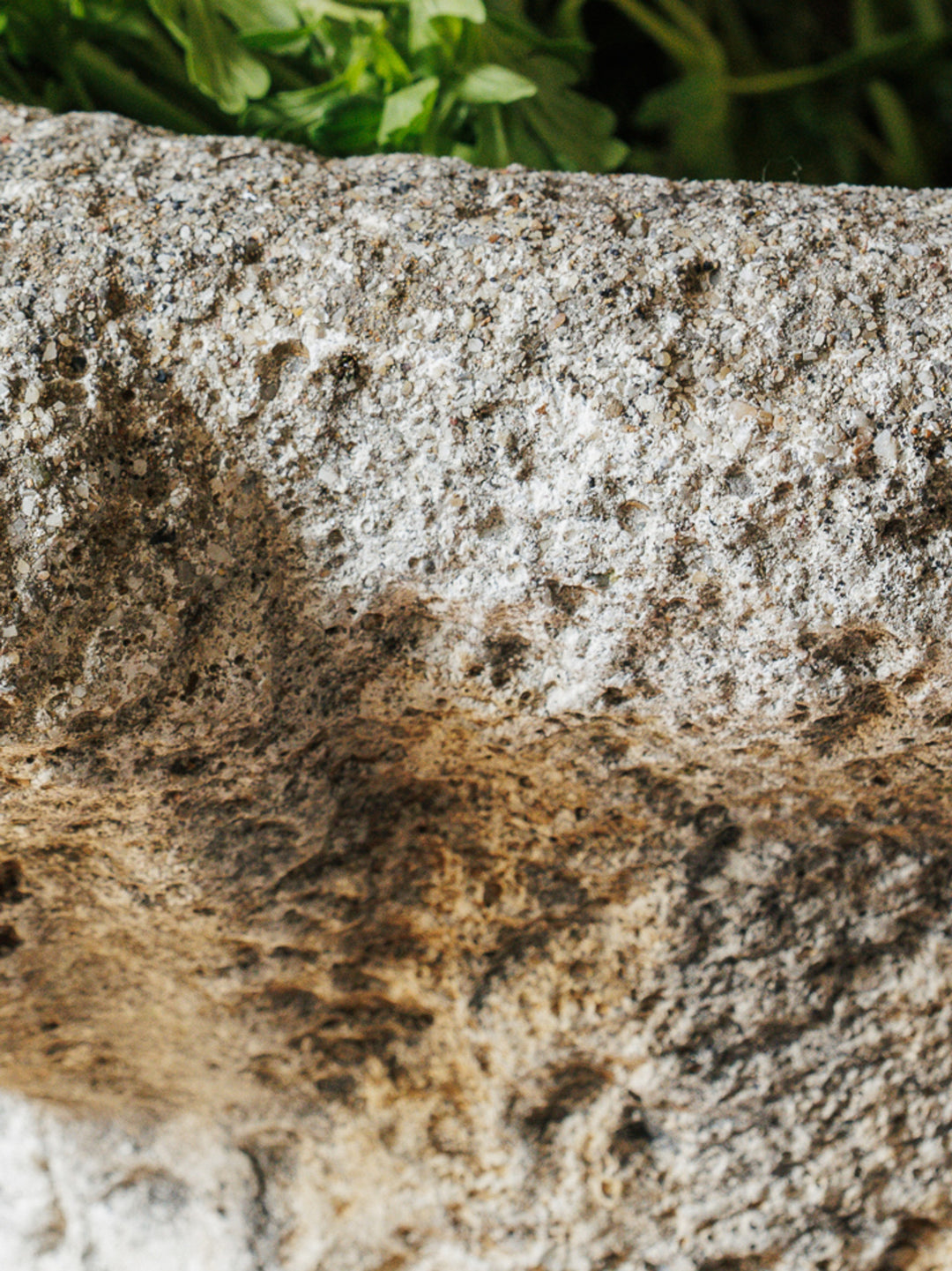Ram Head Stone Planter